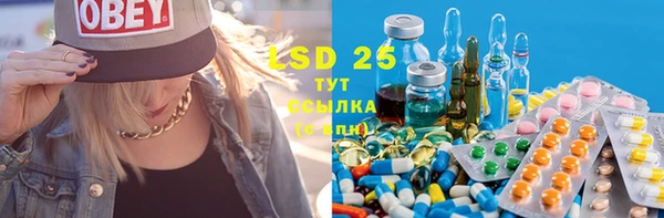 ешки Новодвинск