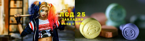 хмурый Нефтекумск