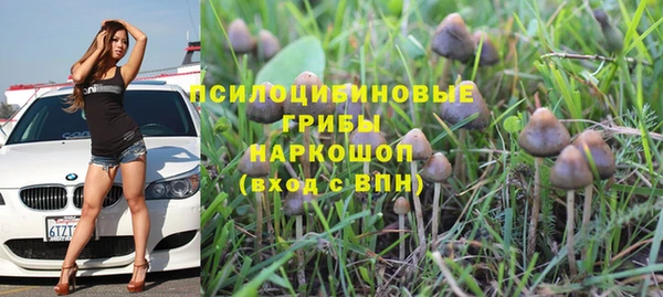 хмурый Нефтекумск