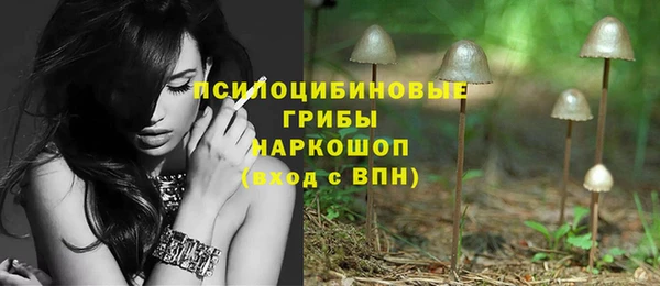 хмурый Нефтекумск