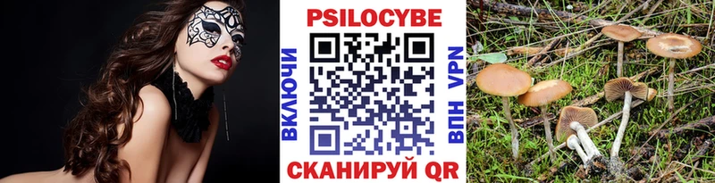 Галлюциногенные грибы Cubensis  магазин  наркотиков  Инсар 